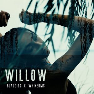 Willow