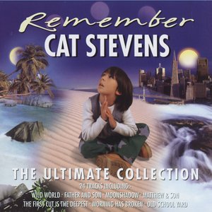 Remember (The Ultimate Collection)