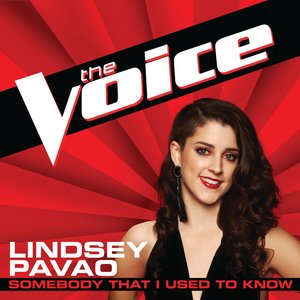 Somebody That I Used to Know (The Voice Performance)