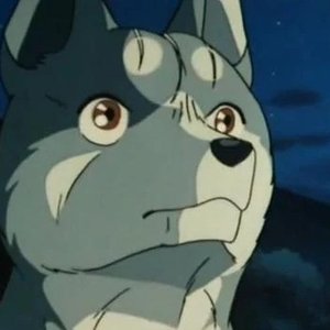 Hopeanuoli (Ginga Nagareboshi Gin/ Silver Fang) 的头像
