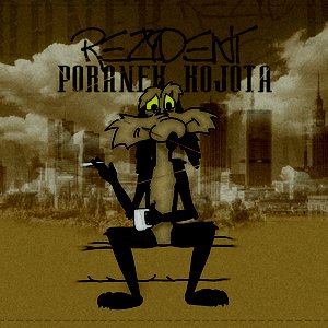 Poranek Kojota