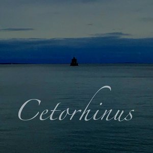 Cetorhinus 的头像