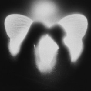 Shadow My Moonchild
