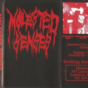Demo 1995