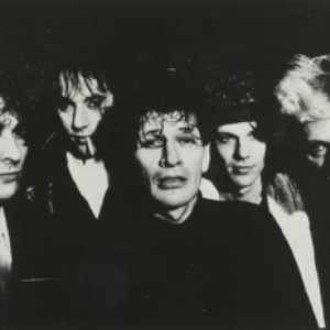 Herman Brood And His Wild Romance 的头像