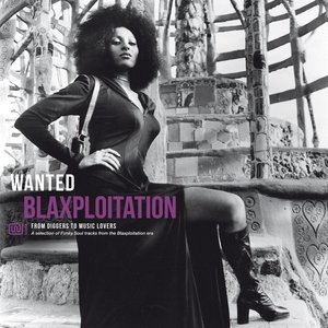 Wanted Blaxploitation: From Diggers To Music Lovers