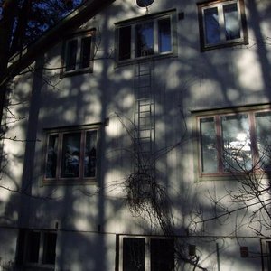 Farm Animals 的头像