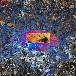 Feel Right - Single