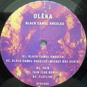 Black Camel Kneeled