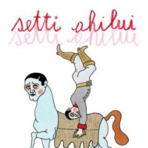 setti 的头像