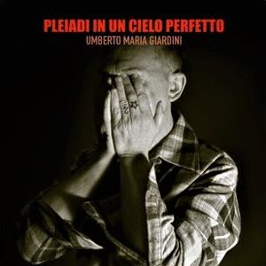 Pleiadi in un cielo perfetto