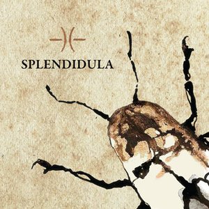 Splendidula