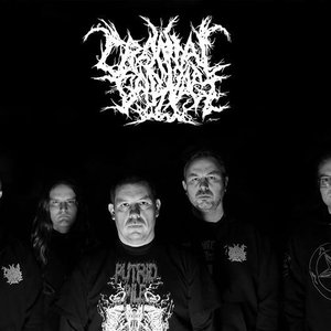 Cranial Carnage 的头像