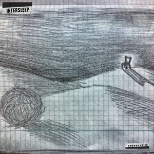 Intersleep