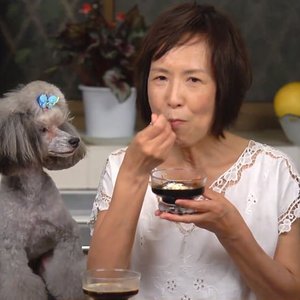 Cooking With Dog 的头像