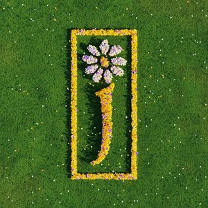 Cover James – Hallelujah Anyhow