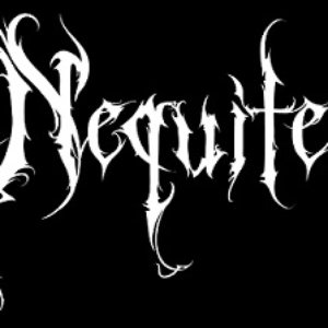 Nequiter 的头像