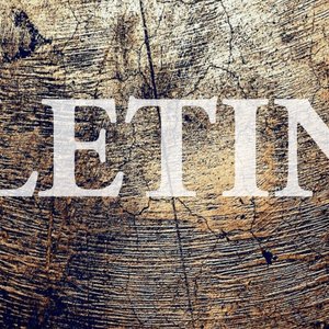 Fletina 的头像