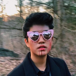 Spot In the Forest - Single