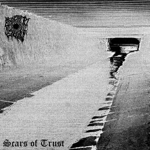 Scars of Trust