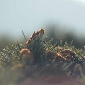 A Fraction Above