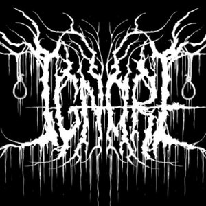 Avatar for Ignore
