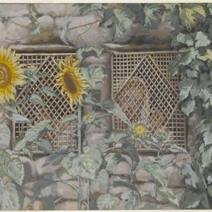 “Looking Through the Lattice”的封面