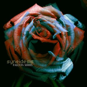 Syneidesis