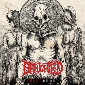 Image for 'Necrobreed'