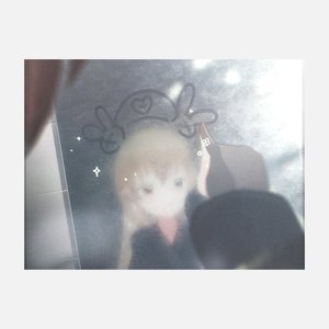 きらめく絆創膏