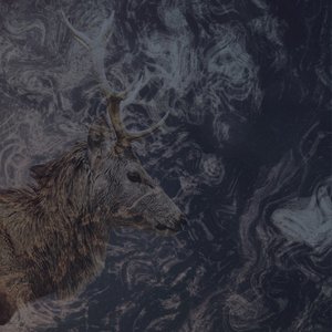 Avatar for Origami Sound