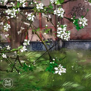 Spring Patterns