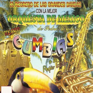 Tocando Cumbias a su Propio Estilo