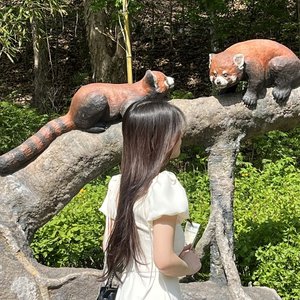 미래 的头像