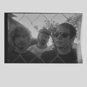 Mesh Heads