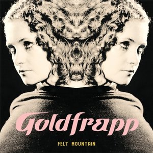 Felt Mountain