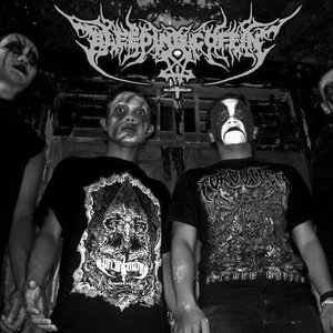 Bleeding Coffin 的头像