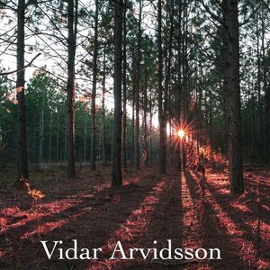 Vidar Arvidsson 的头像