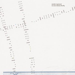 no one notices the fly