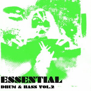 Essential Drum & Bass Vol 2