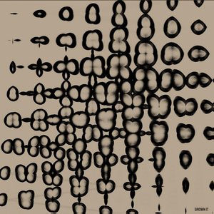 Grown It - Single