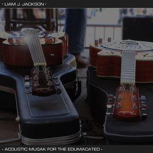 Acoustic Musak For The Edumacated