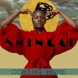 Coming Home - Single