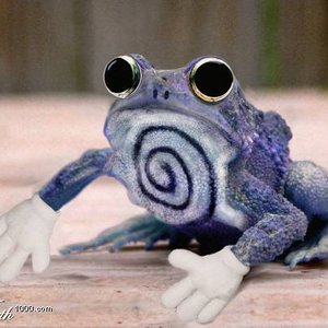 Poliwhirl 的头像