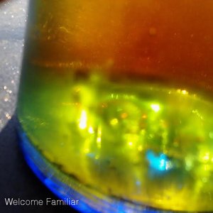 Welcome Familiar 的头像