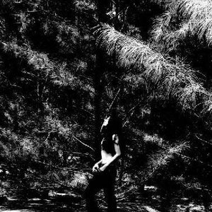 From The Sunset, Forest & Grief 的头像