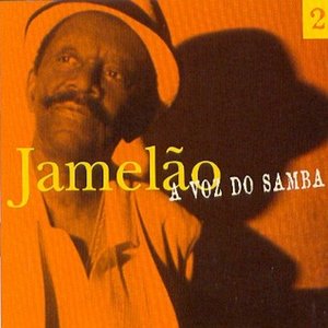 A Voz Do Samba 2