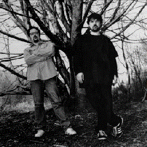 Pigeonhed photo provided by Last.fm