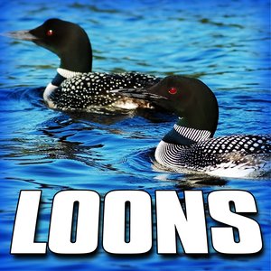 Loons (Nature Sound)