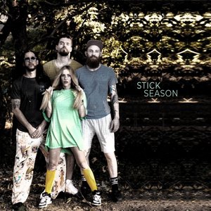 Stick Season - Single
